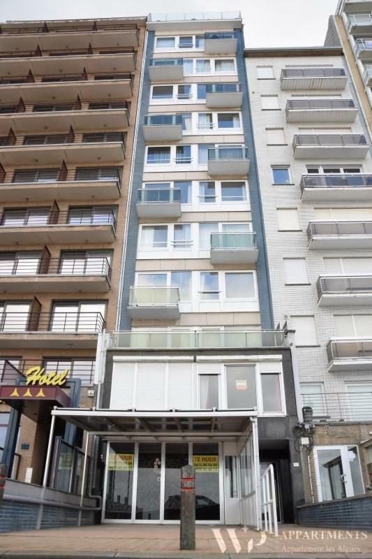 Residentie Les Algues 8Ste Verdieping 블랑켄베르크 외부 사진